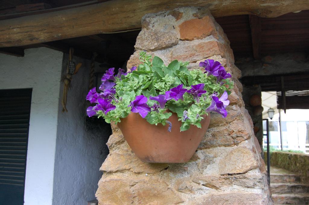 Casa da Quinta De S. Martinho Vila Real Exterior foto