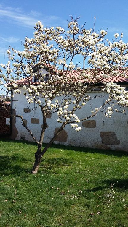 Casa da Quinta De S. Martinho Vila Real Exterior foto